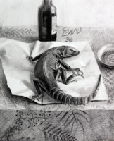 Iguana on the Table